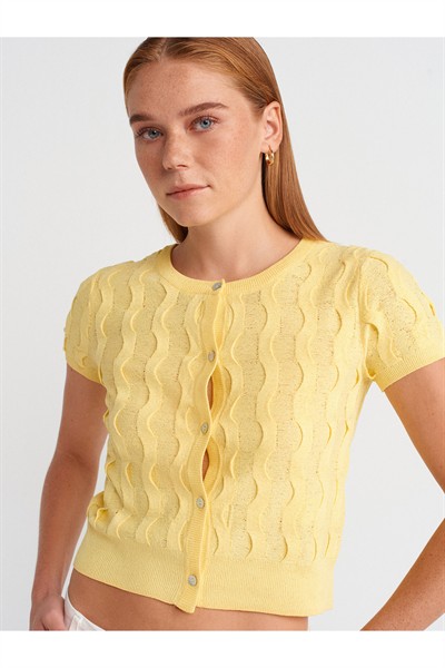 60980 Bisiklet Yaka Dokulu Düğmeli Triko Hırka-Sarı