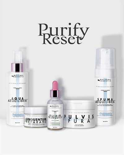 PURIFY RESET 