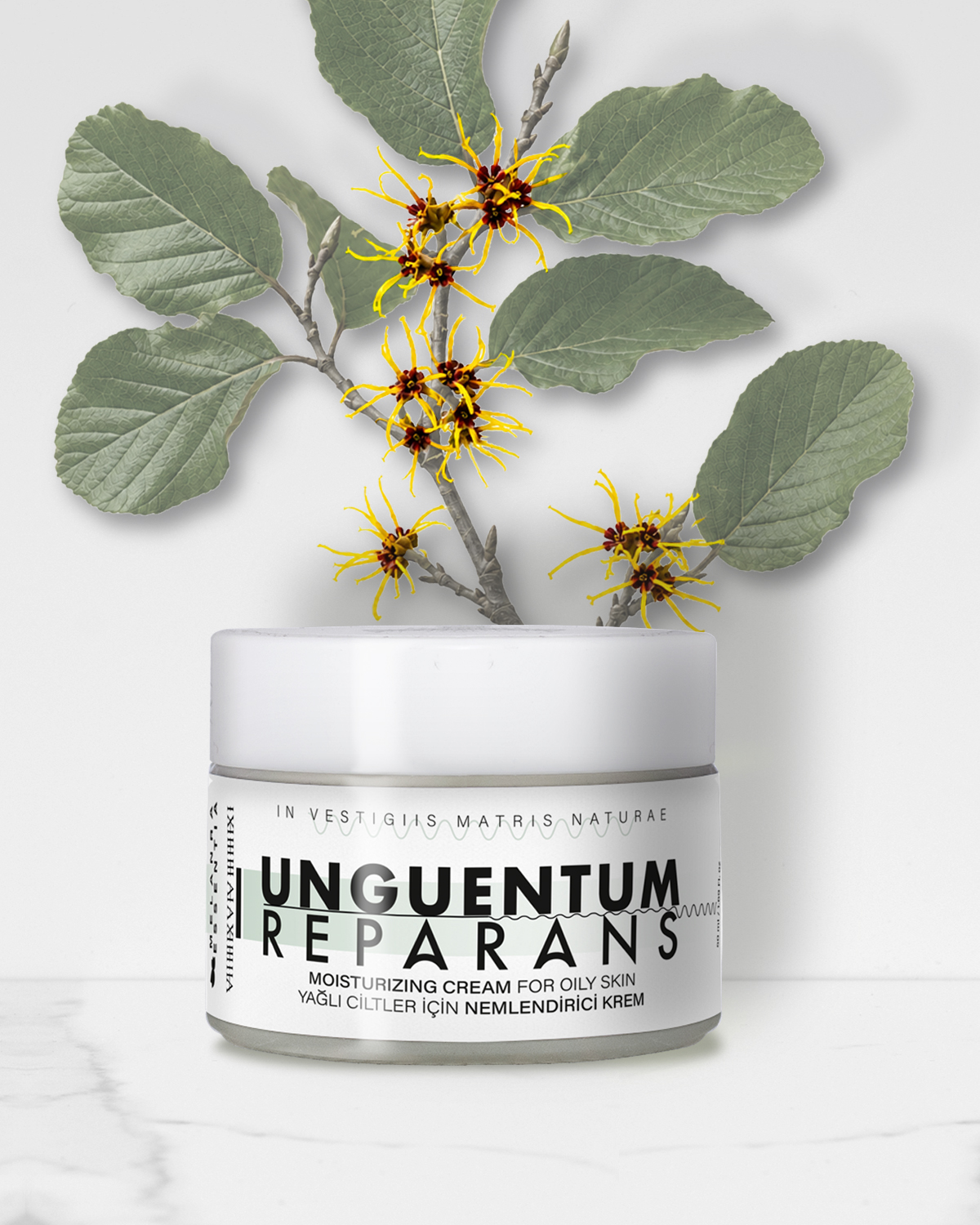 Unguentum Reparans