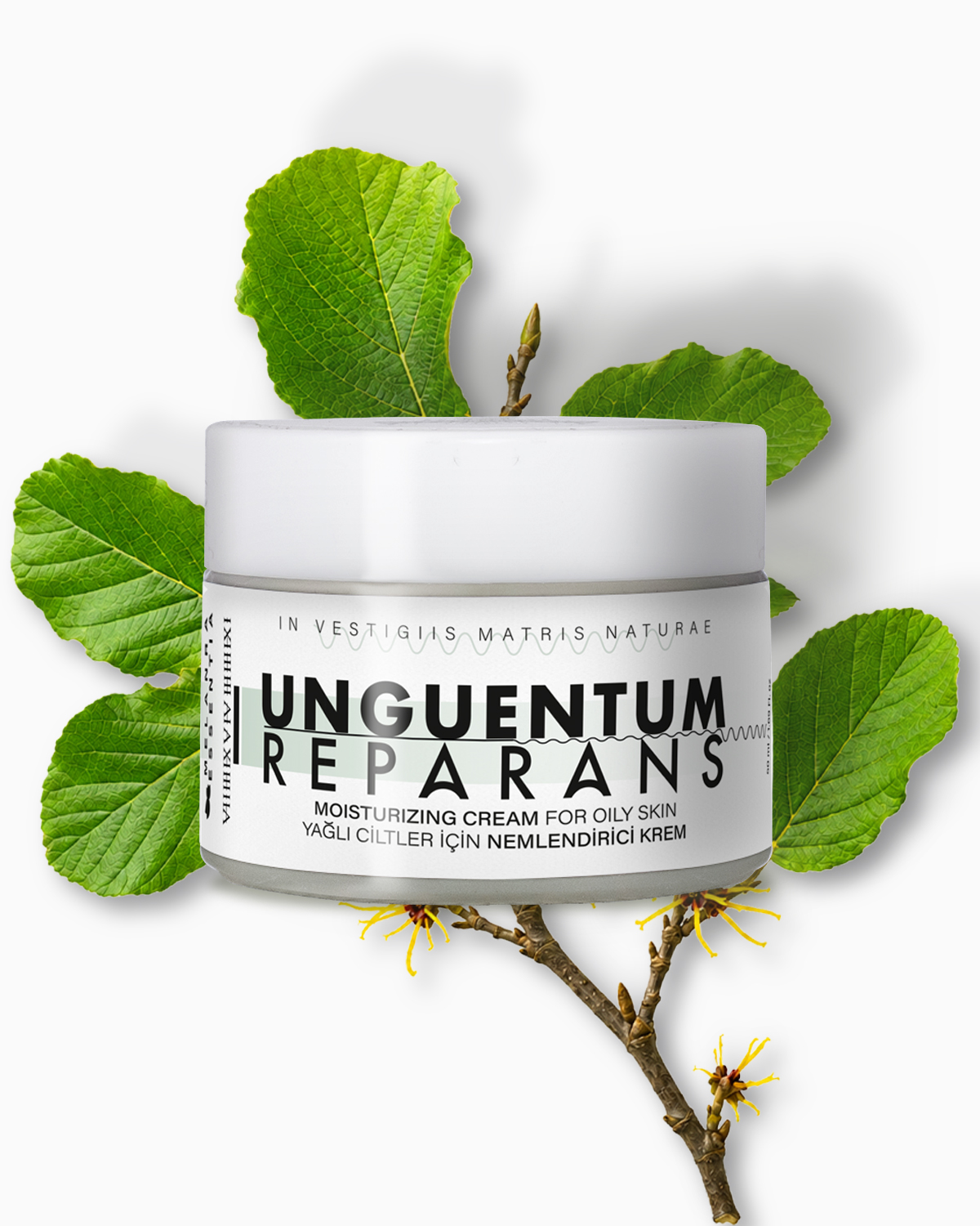 Unguentum Reparans
