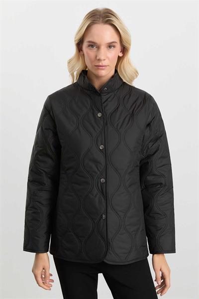 Dik Yaka Önü Çıtçıtlı Soğan Kapitone Mont  /  SİYAH