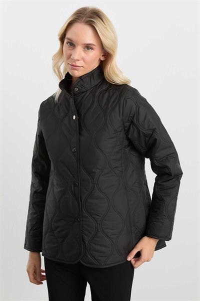 Dik Yaka Önü Çıtçıtlı Soğan Kapitone Mont  /  SİYAH