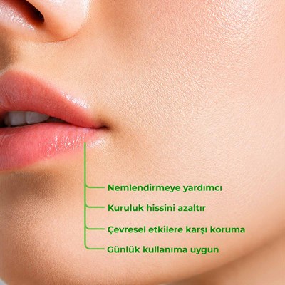 Bio Asia Kenevir & Aloe Vera Lip Balm – Doğal Nemlendirme ve Yoğun Koruma