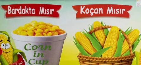 Dış Görünüm