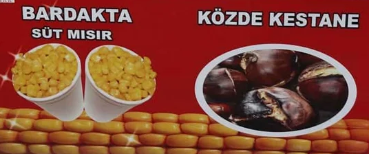 Dış Görünüm