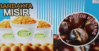 Dış Görünüm