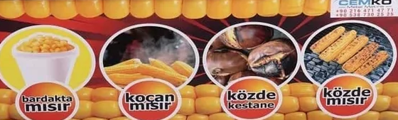 Dış Görünüm