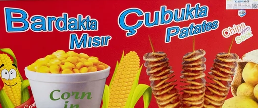 Dış Görünüm