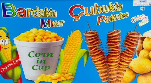 Dış Görünüm