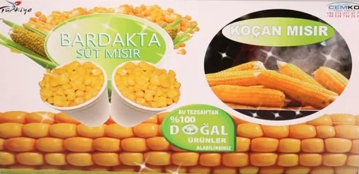 Dış Görünüm