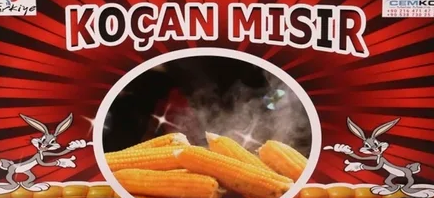 Dış Görünüm