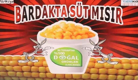 Dış Görünüm