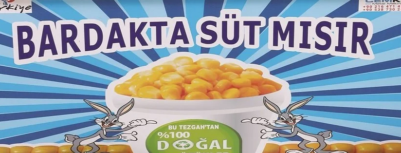 Dış Görünüm