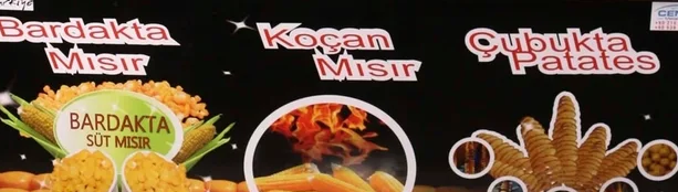 Dış Görünüm