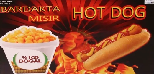 Dış Görünüm