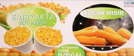 Dış Görünüm