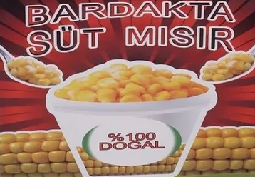Dış Görünüm