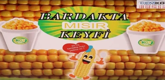 Dış Görünüm