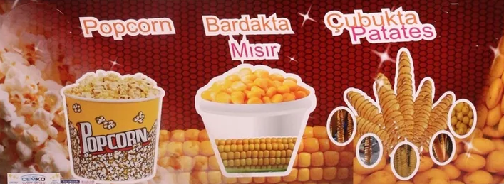 Dış Görünüm