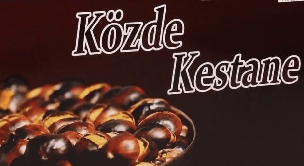 Dış Görünüm