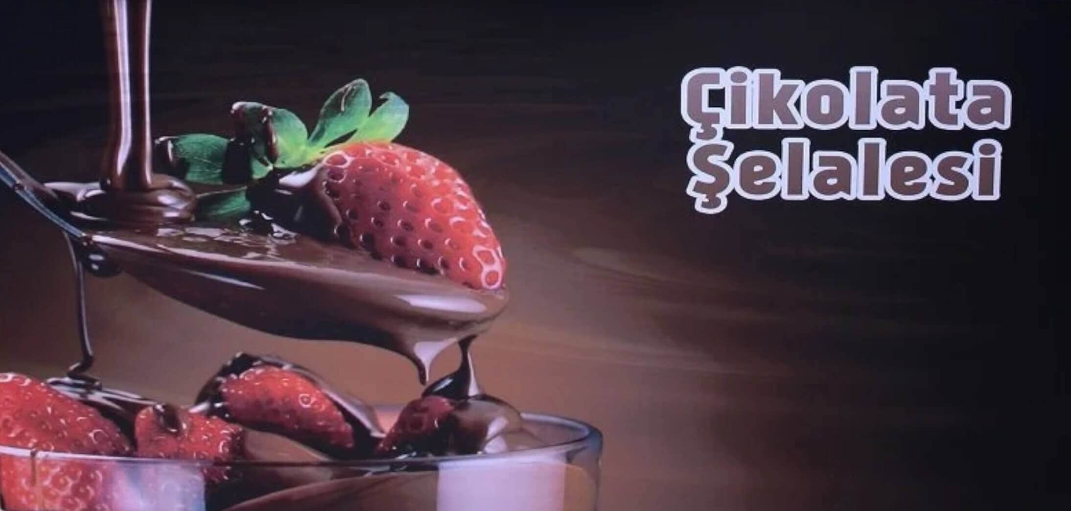 Dış Görünüm