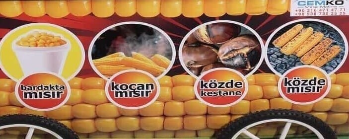 Dış Görünüm