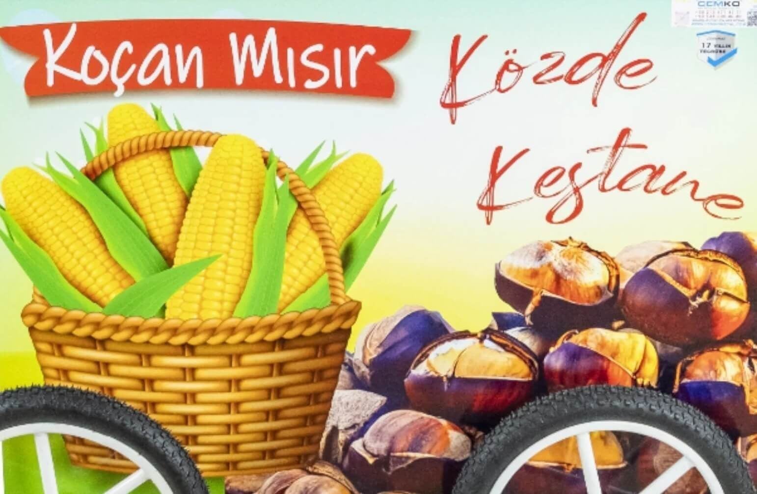 Dış Görünüm