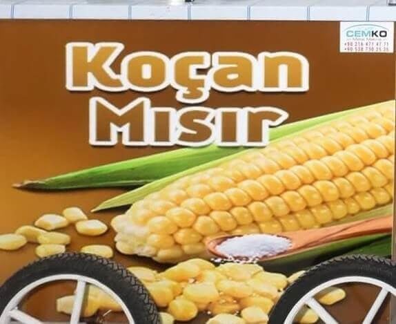 Dış Görünüm