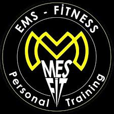 Mesfit33
