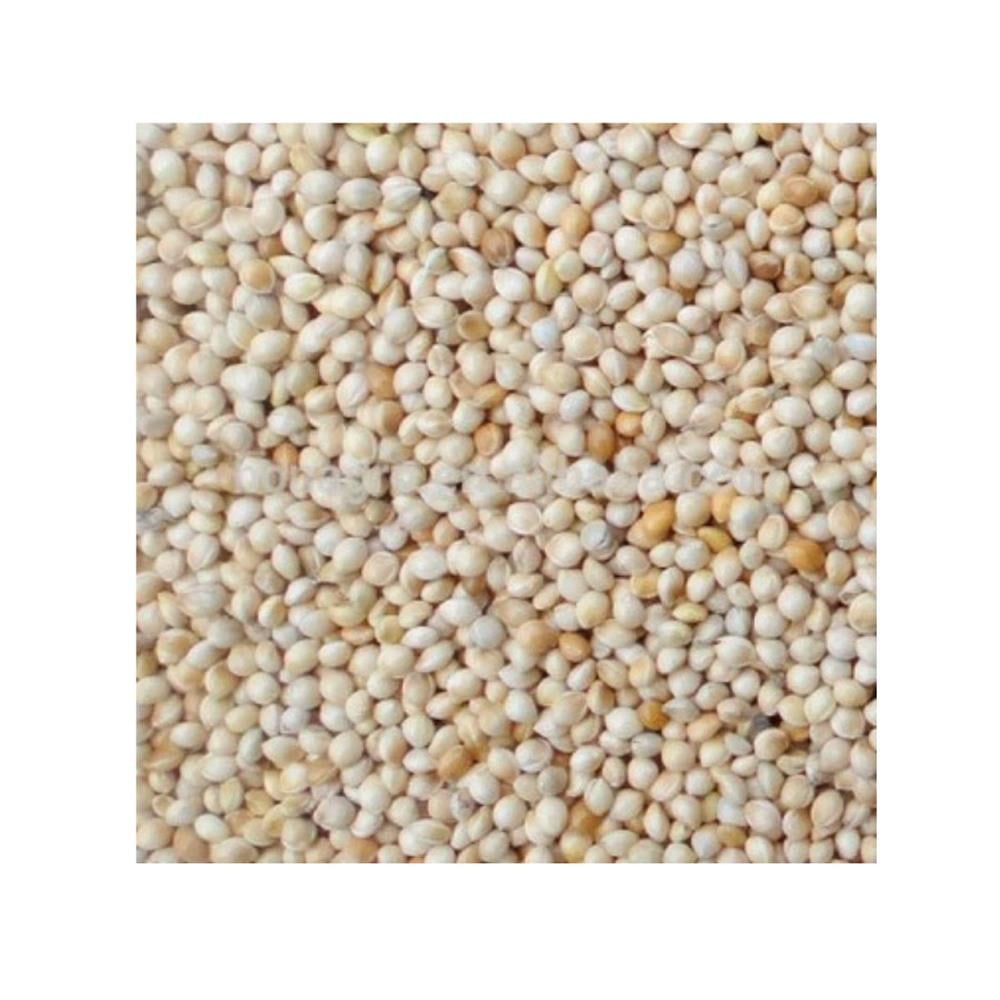 AÇIK AK DARI 047
