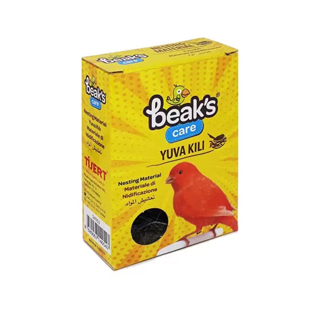 Beaks Kanarya Saka Finch İspinoz Kuşların Yuva Kılı