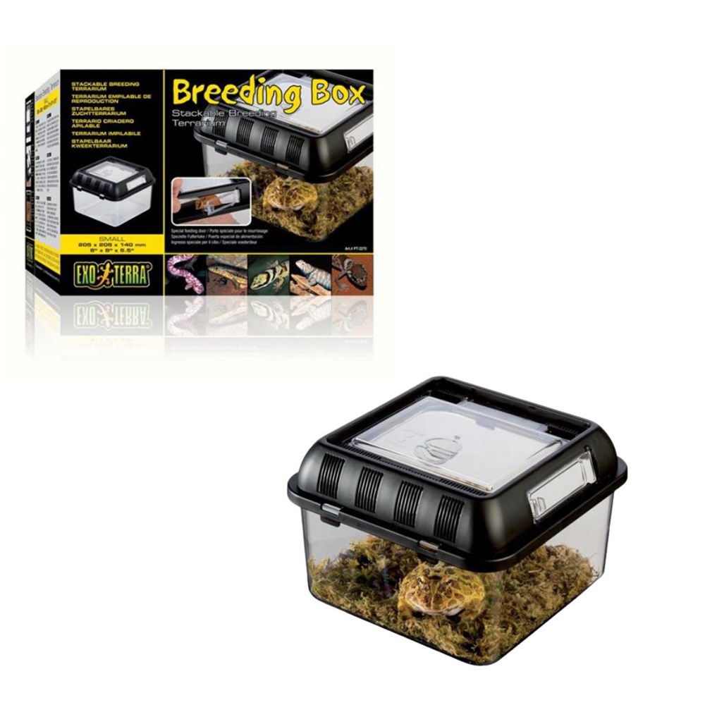 Yingte Exo Terra Breeding Box S En Ucuz Fiyatları ve Özellikleri