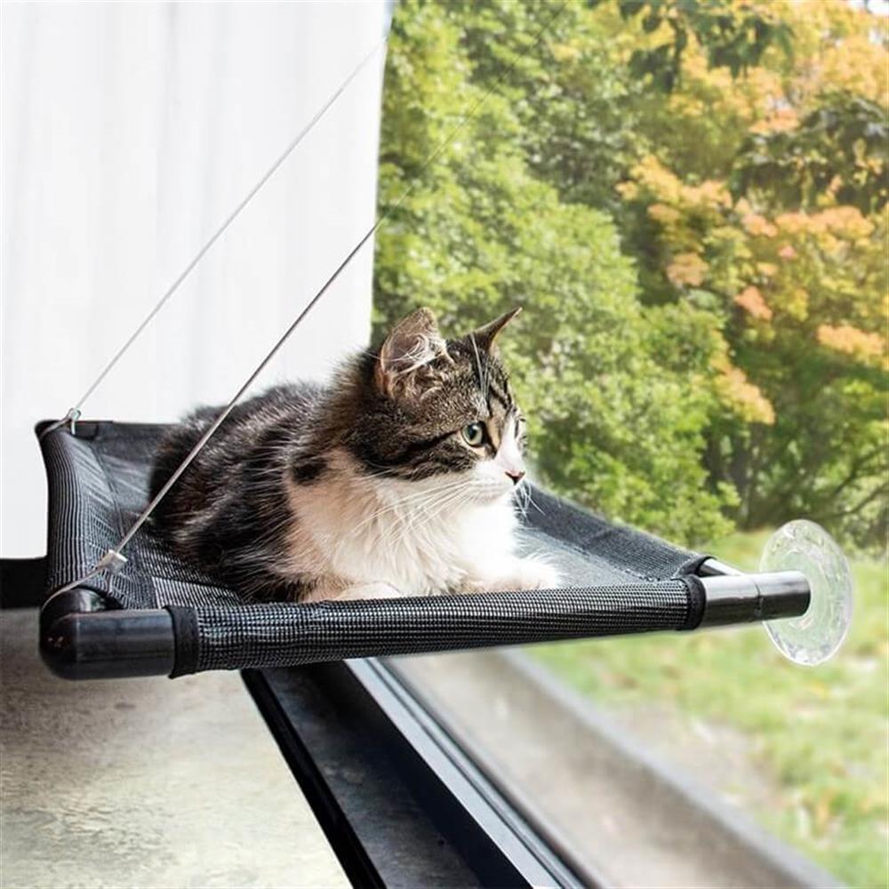 Kediler İçin Cam Askılığı Kedi Yatağı