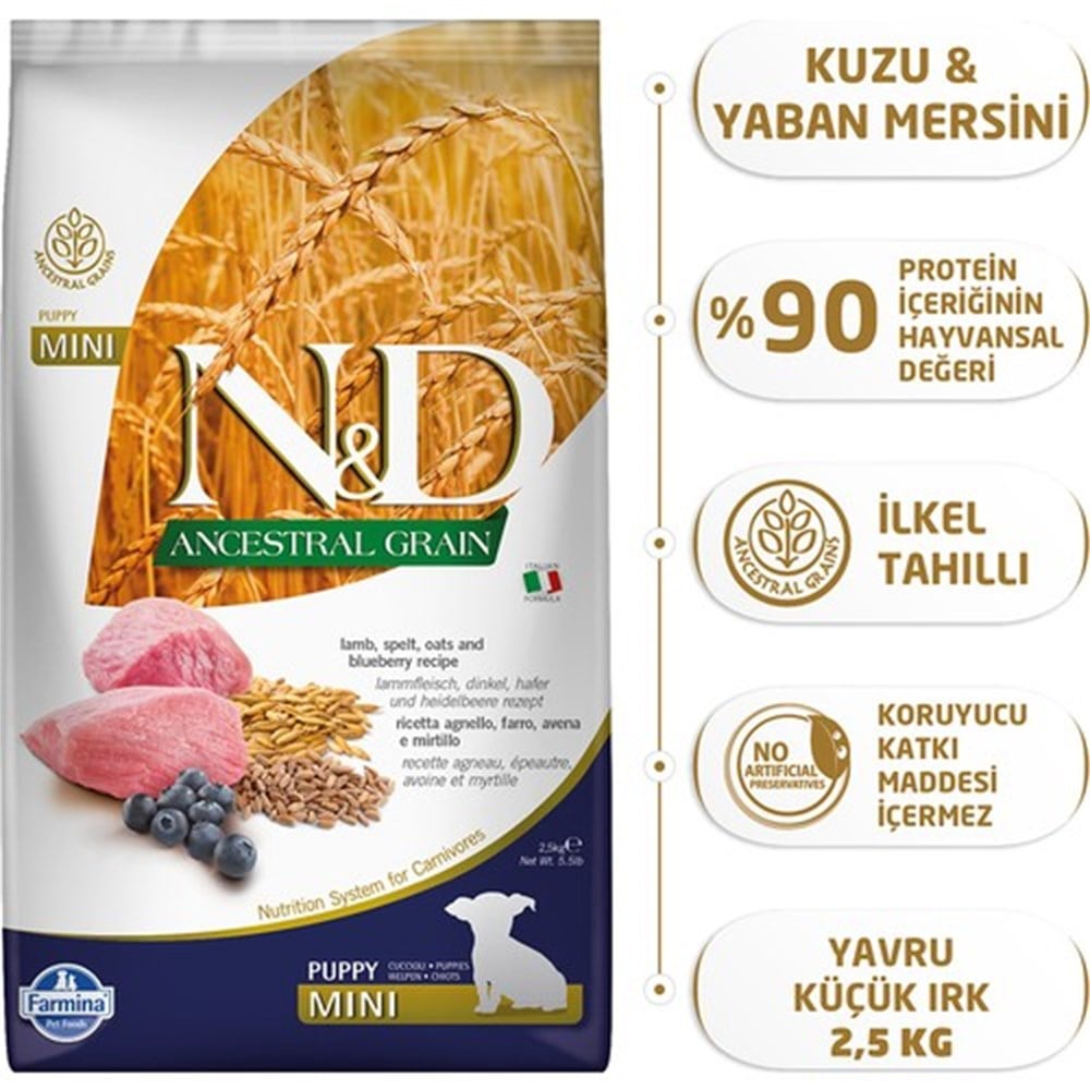 N&D Ancestral Grain Düşük Tahıllı Kuzu Etli ve Yaban Mersinli 2.5 kg Küçük Irk Yavru Köpek Maması