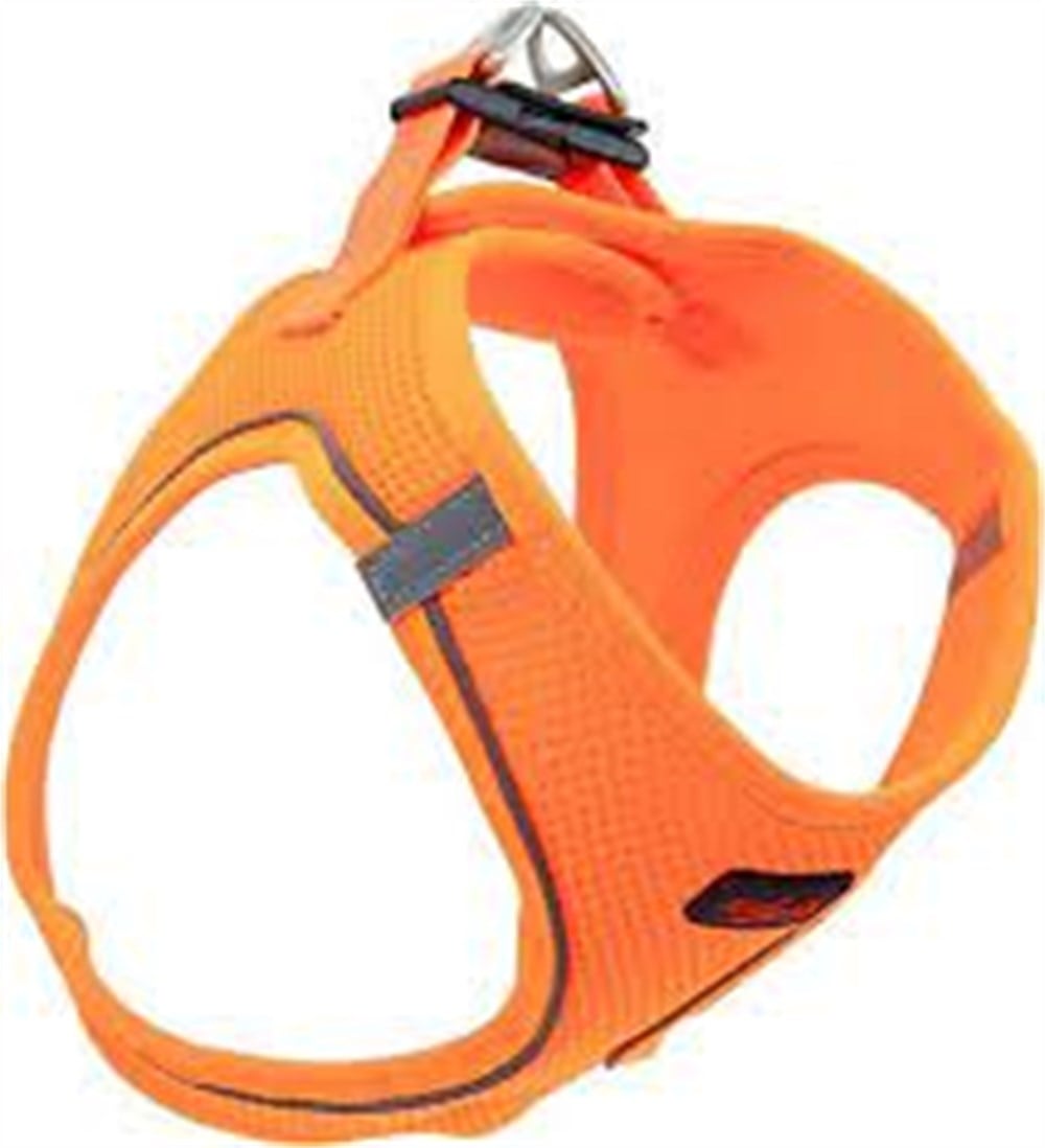 TAİLPETZ GÖĞÜS TASMASI ORANGE XL