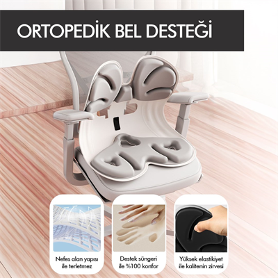Ergonomik Ortopedik Bel Destekli Oturma Minderi Postür Düzeltici İş Ev Oto Sırt Koltuk Yastığı
