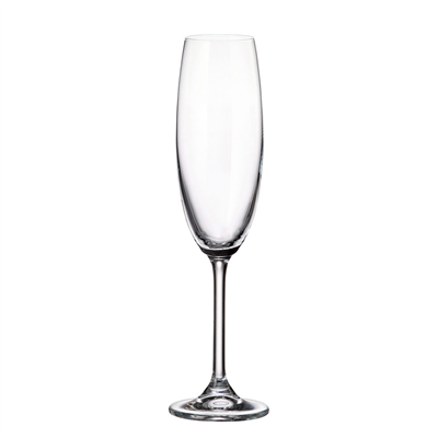 COLLECTİON COLIBRI CHAMPAGNE FLUTE 220 ML