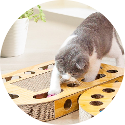 Kedi Oyuncakları