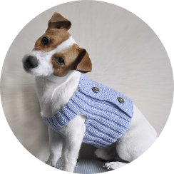 Köpek Kıyafetleri