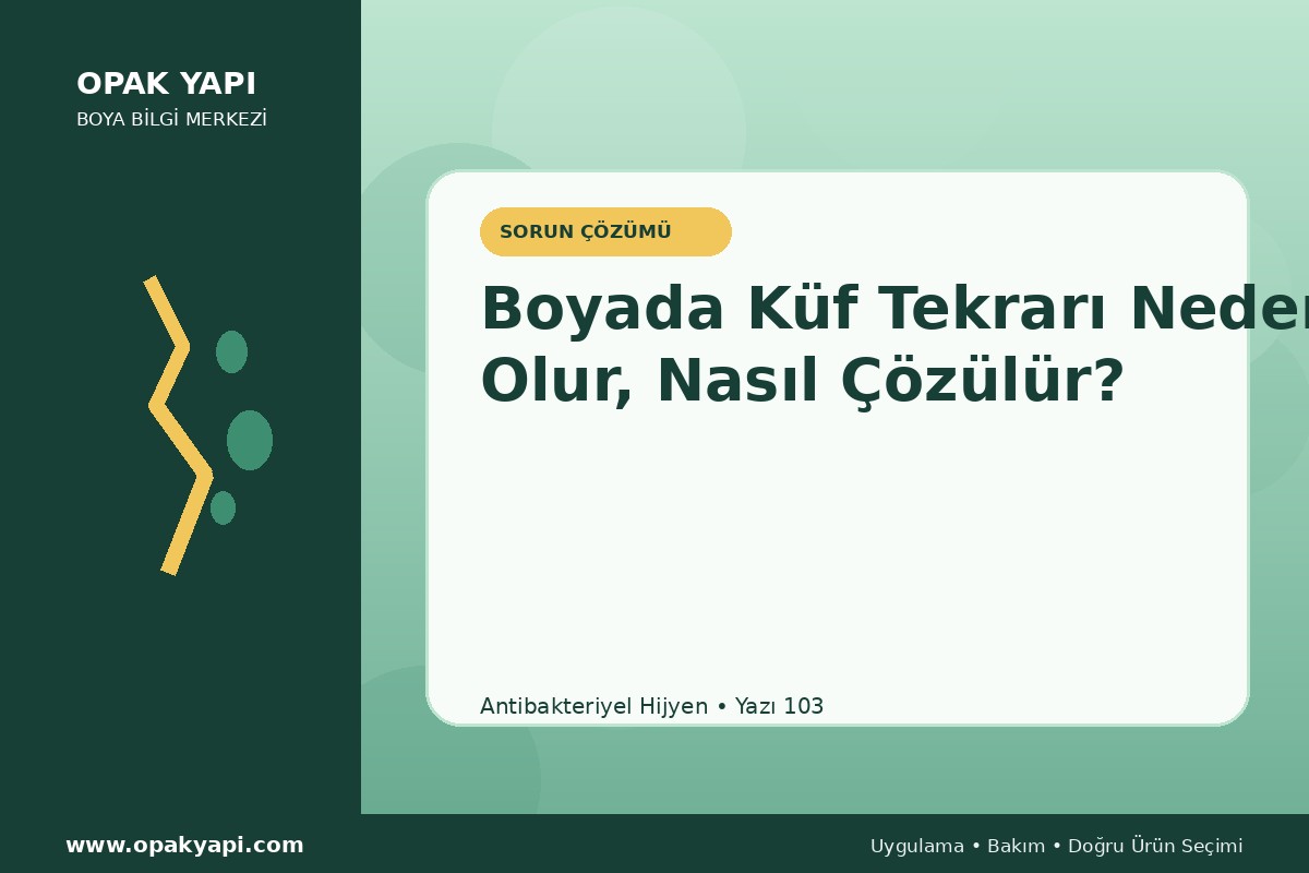 Antibakteriyel Hijyen Boyada Küf Tekrarı Neden Olur, Nasıl Çözülür?