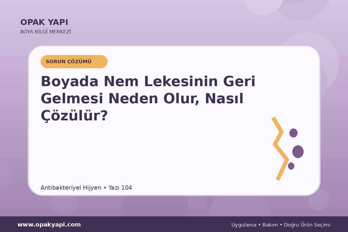 Antibakteriyel Hijyen Boyada Nem Lekesinin Geri Gelmesi Neden Olur, Nasıl Çözülür?