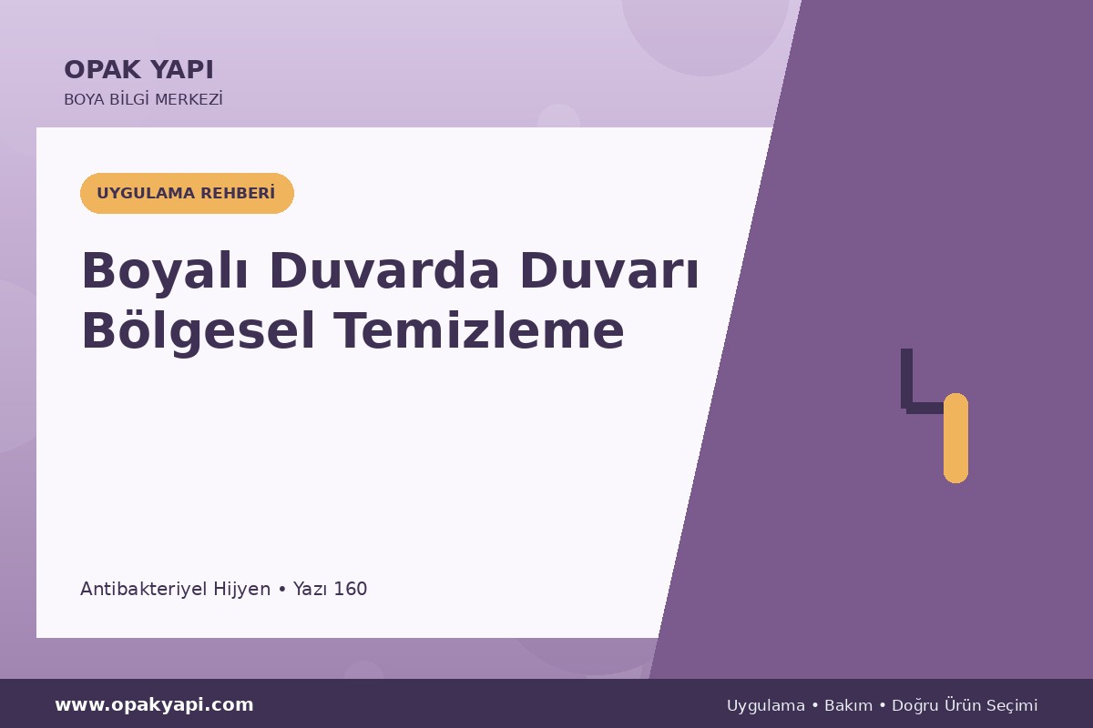 Antibakteriyel Hijyen Boyalı Duvarda Duvarı Bölgesel Temizleme