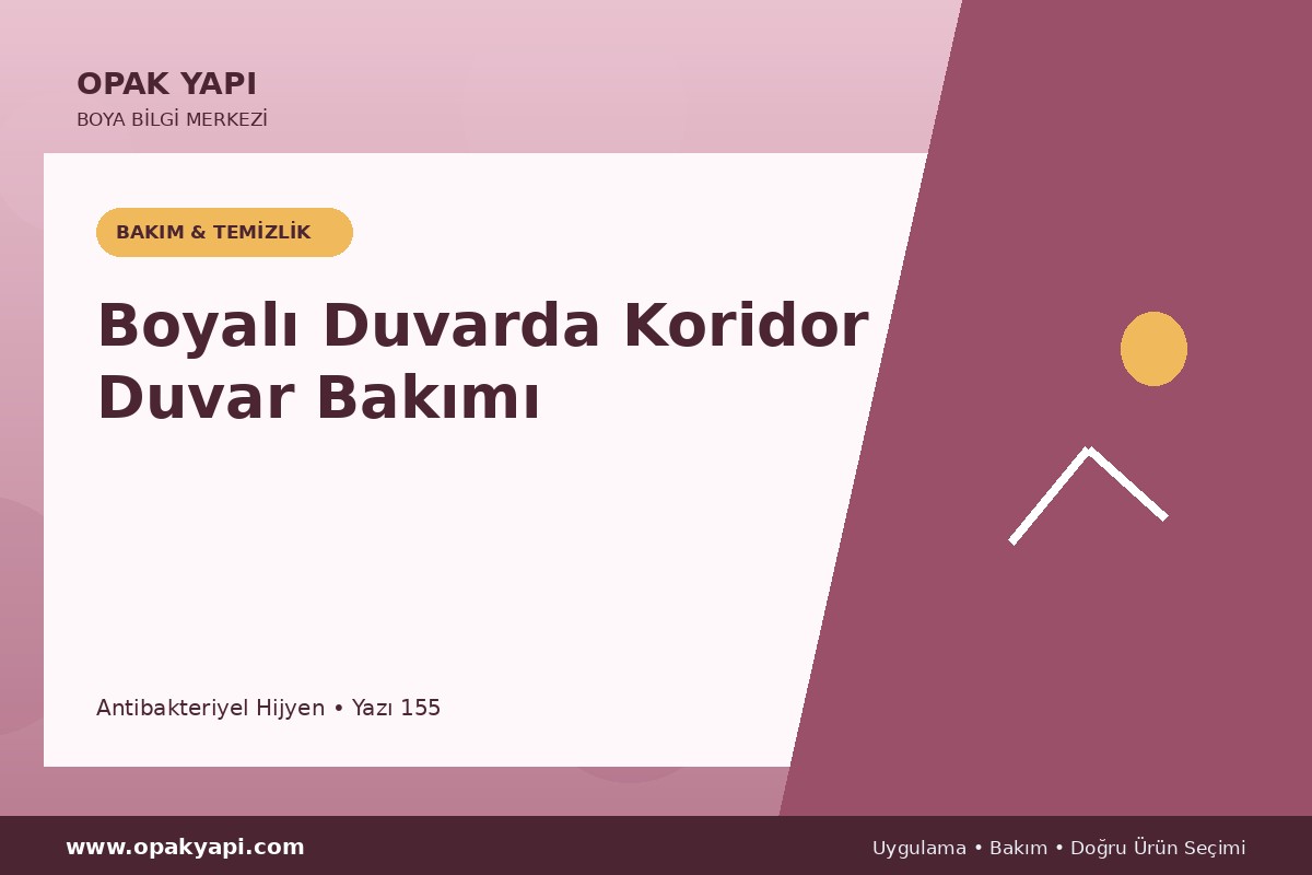 Antibakteriyel Hijyen Boyalı Duvarda Koridor Duvar Bakımı