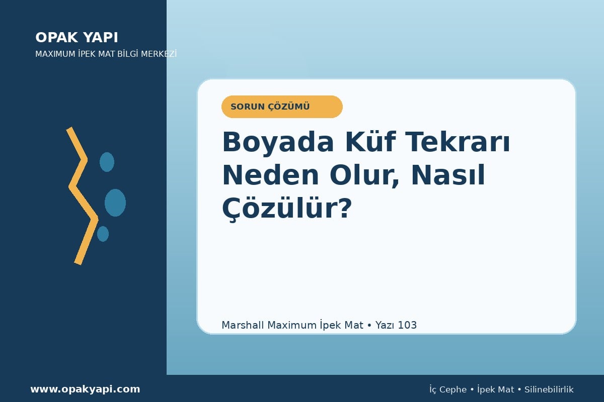 Maximum İpek Mat Boyada Küf Tekrarı Neden Olur, Nasıl Çözülür?