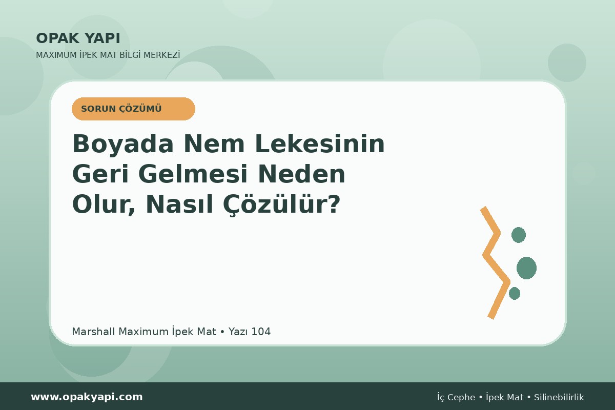 Maximum İpek Mat Boyada Nem Lekesinin Geri Gelmesi Neden Olur, Nasıl Çözülür?