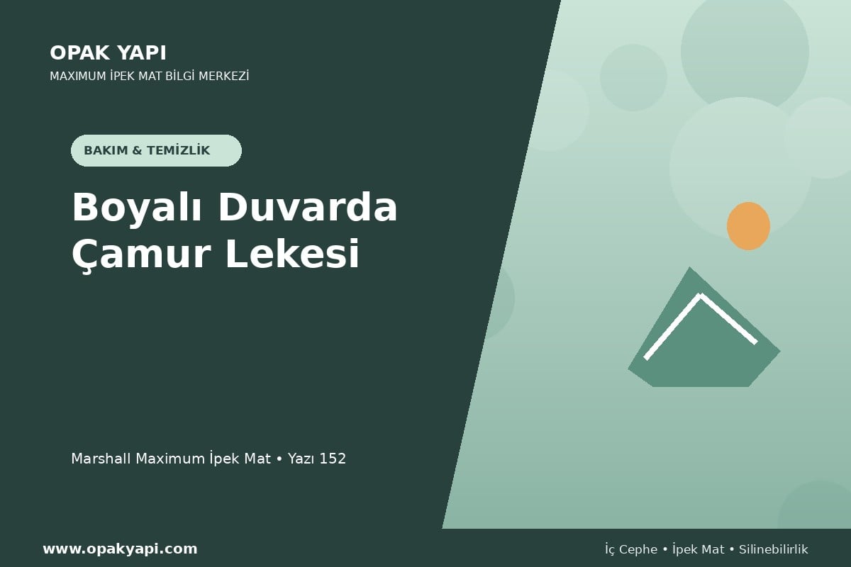 Maximum İpek Mat Boyalı Duvarda Çamur Lekesi