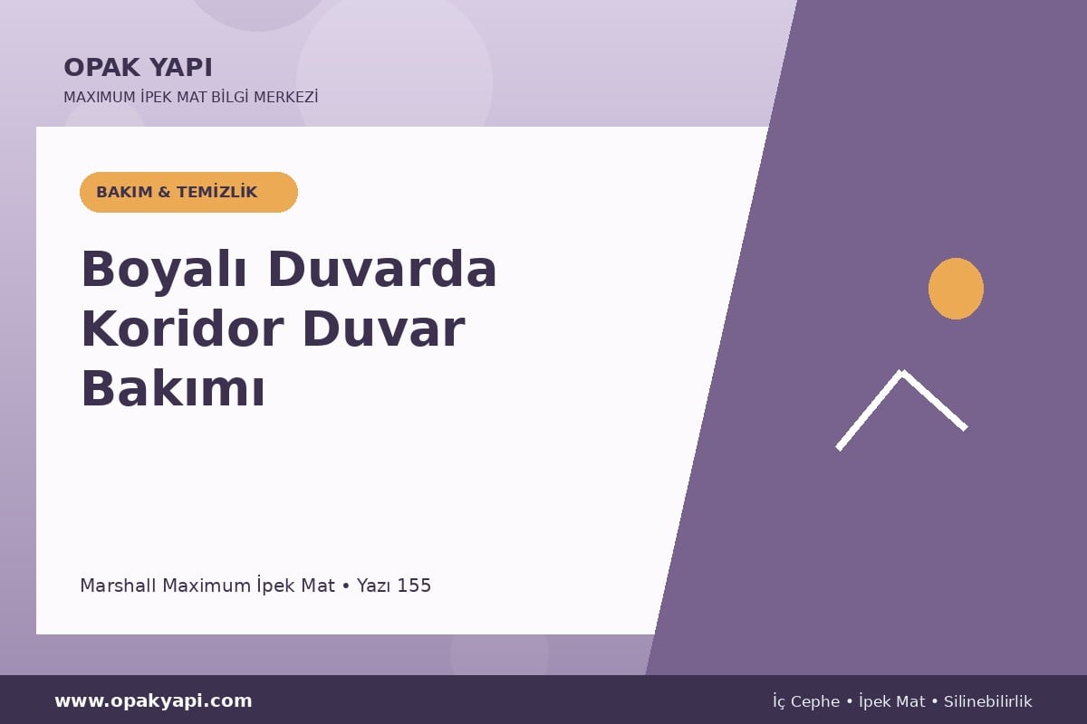 Maximum İpek Mat Boyalı Duvarda Koridor Duvar Bakımı