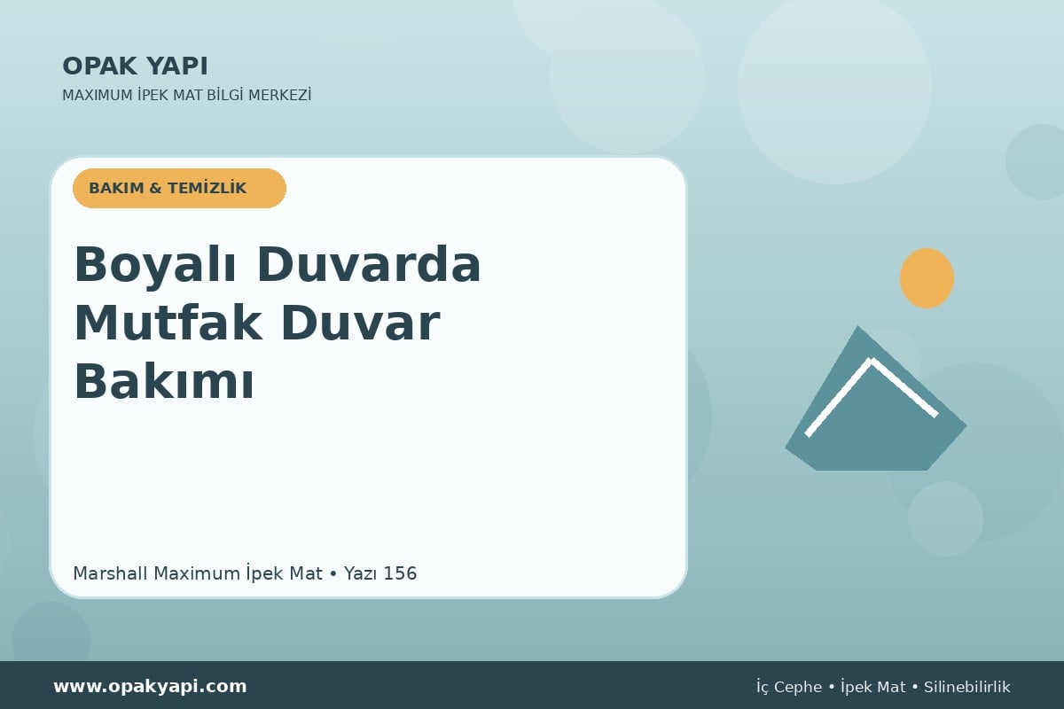 Maximum İpek Mat Boyalı Duvarda Mutfak Duvar Bakımı