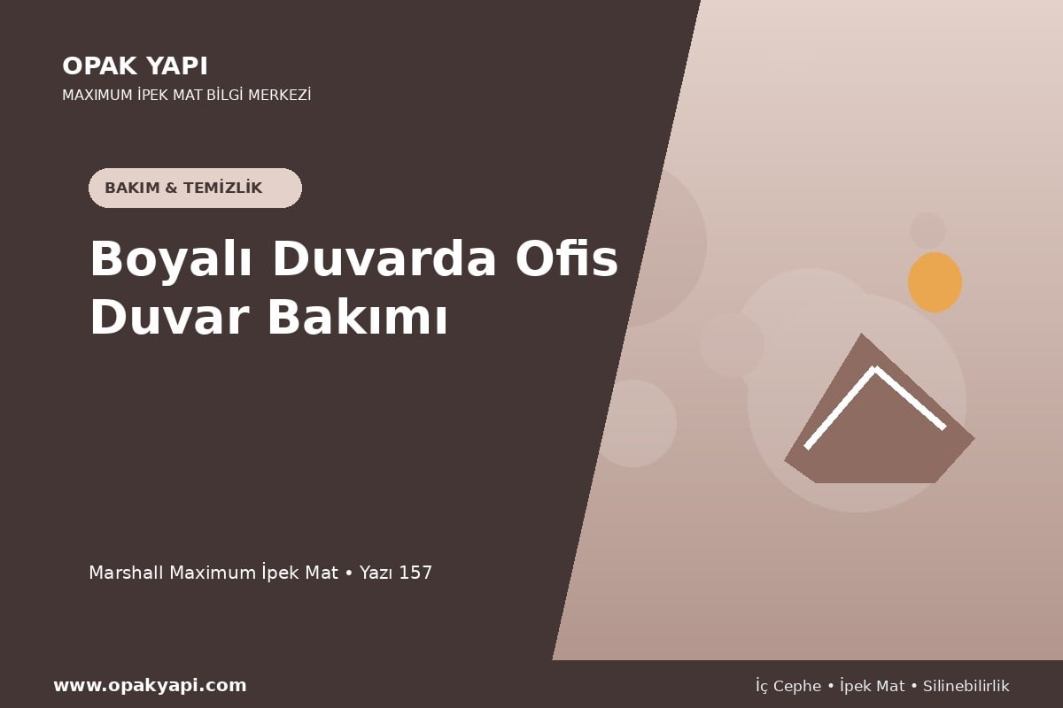 Maximum İpek Mat Boyalı Duvarda Ofis Duvar Bakımı