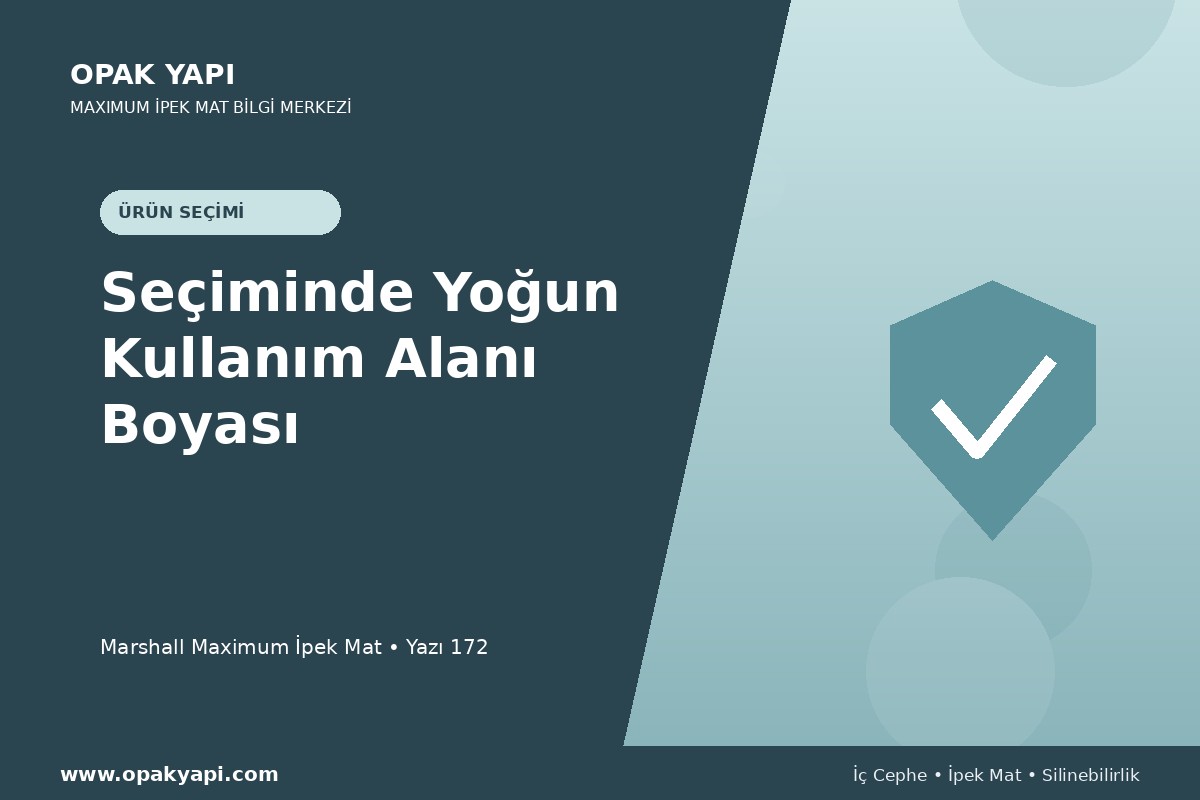 Maximum İpek Mat Seçiminde Yoğun Kullanım Alanı Boyası